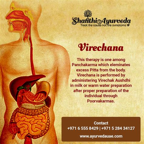 Virechana Treatment in Ayurveda